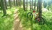 Osprey-MTB-Trail - Kielder