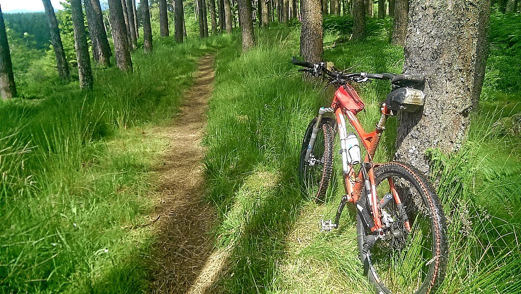 Osprey-MTB-Trail - Kielder