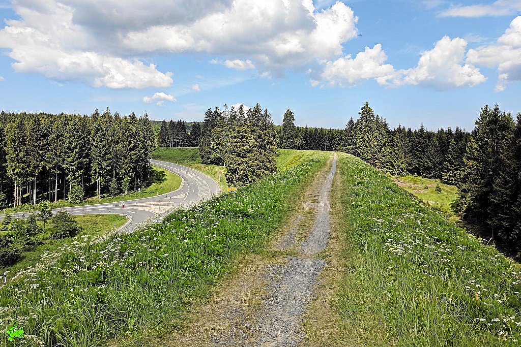 Mit dem MTB im Harz (O7)
