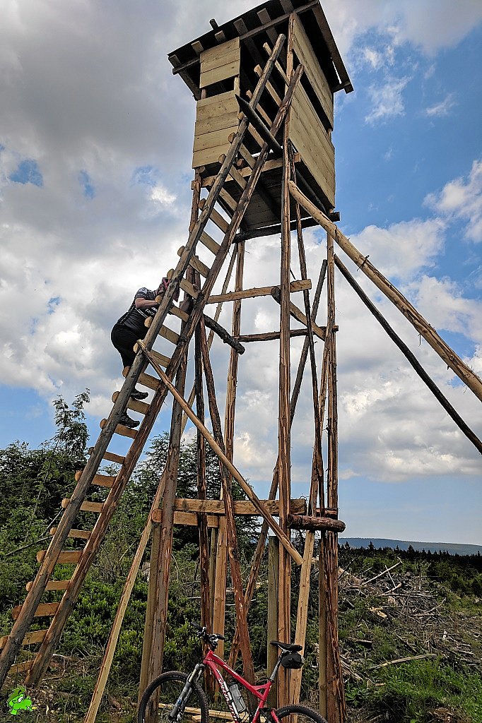 Mit dem MTB im Harz (O7)